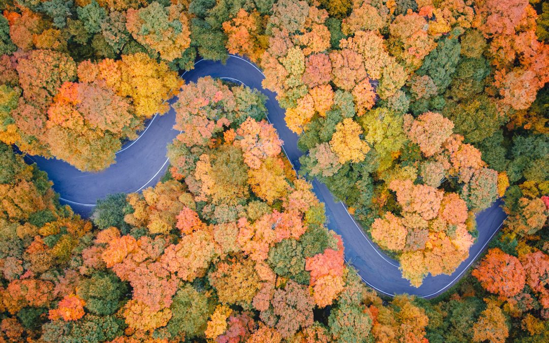 New England Fall Road Trip: The Ultimate Leaf Peeping Itinerary