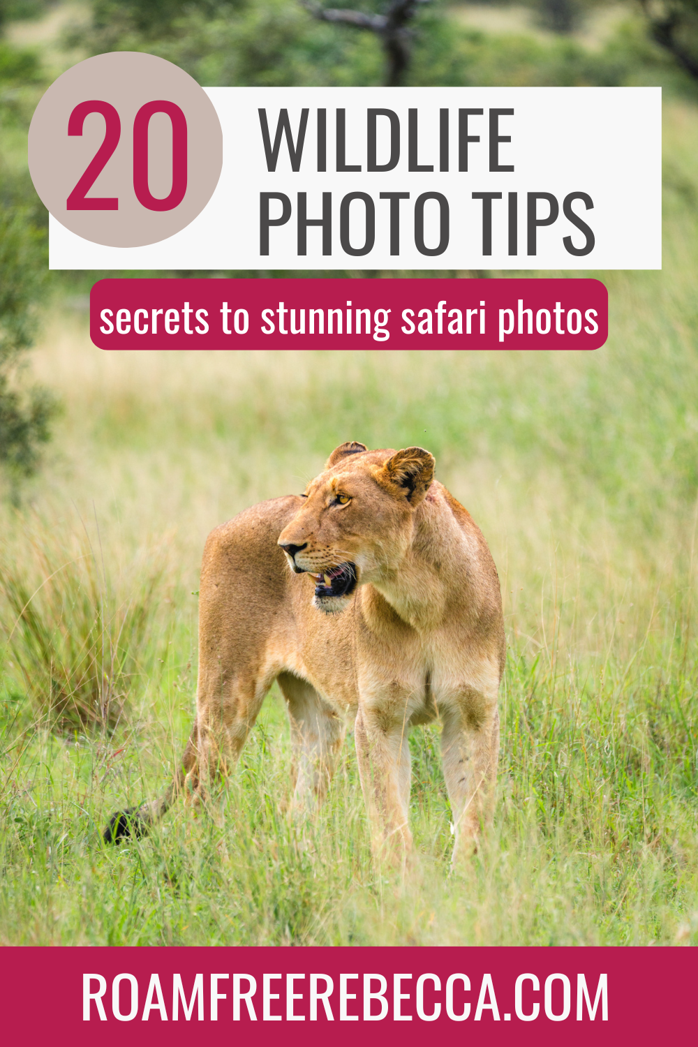 Text reads "15 tips to prepare for world travel" over an image of an airplane
