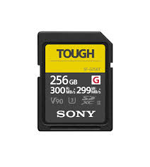 roamfreerebecca-best-travel-photography-gear-action-camera-accessories-memory-card