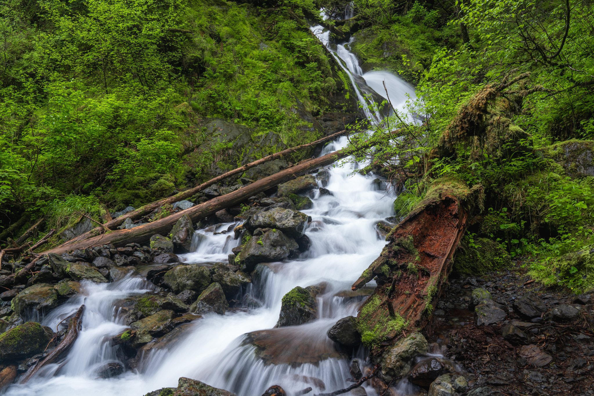 roamfreerebecca-herring-cove-trail-waterfall-sitka-alaska-united-states-north-america-05555
