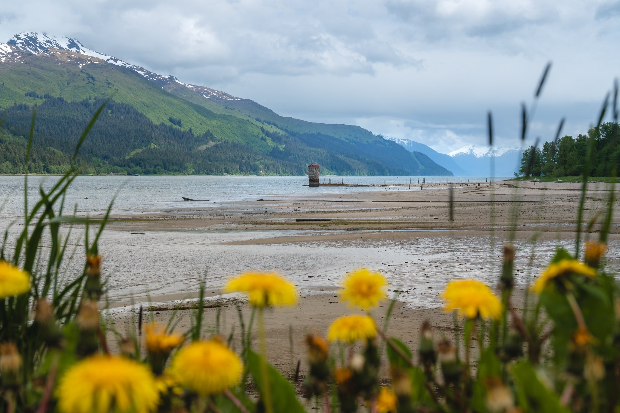 roamfreerebecca-savikko-park-sandy-beach-juneau-alaska-united-states-north-america-07295