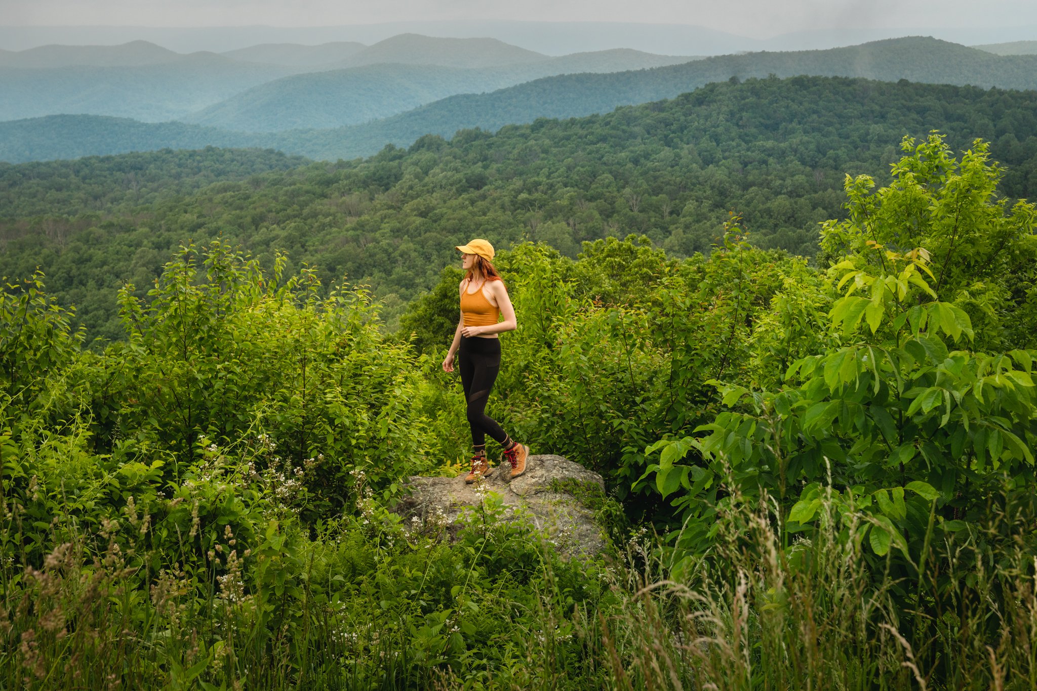 roamfreerebecca-shenandoah-national-park-virginia-united-states-north-america-00821