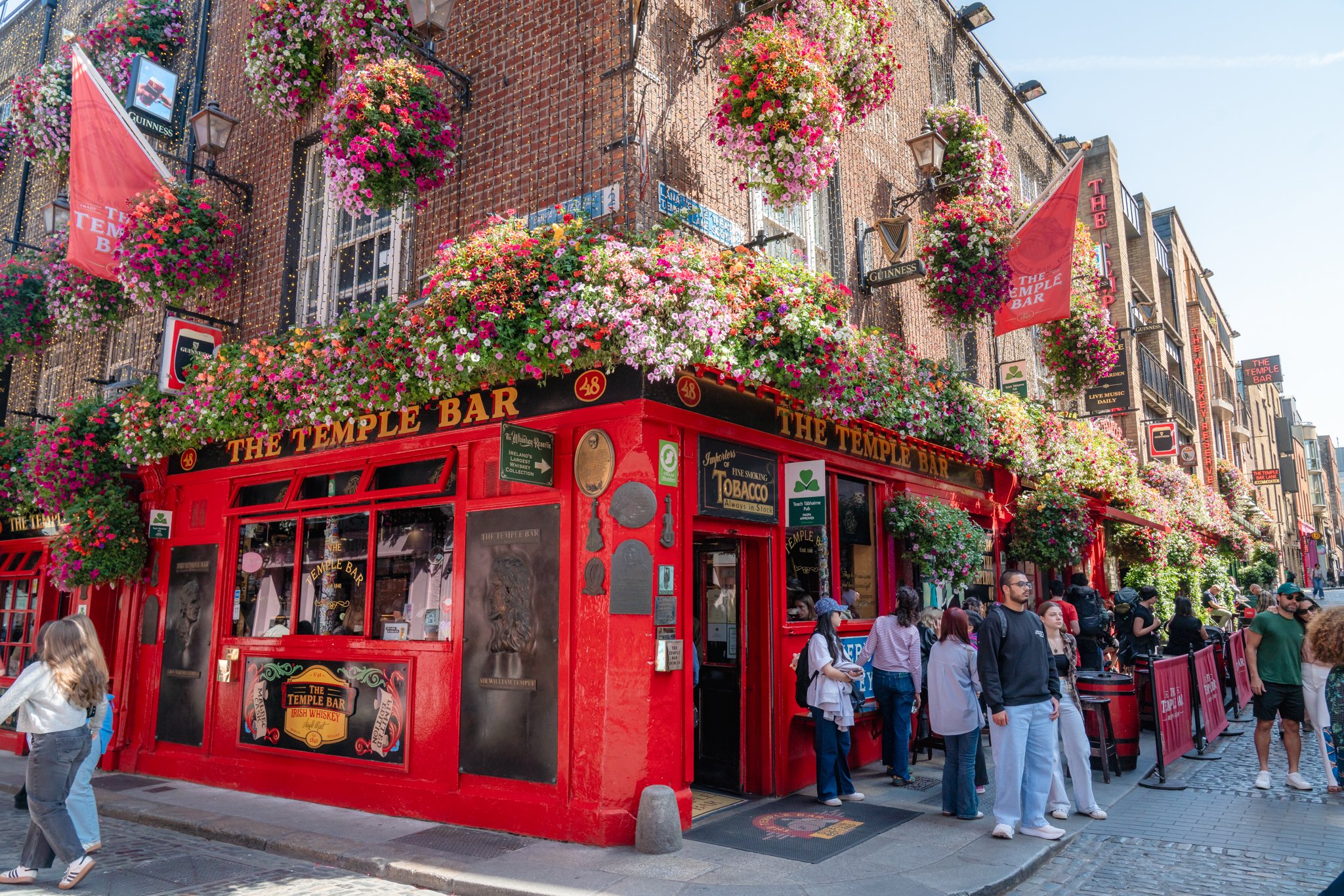 roamfreerebecca-summer-flowers-the-temple-bar-dublin-ireland-europe-07577