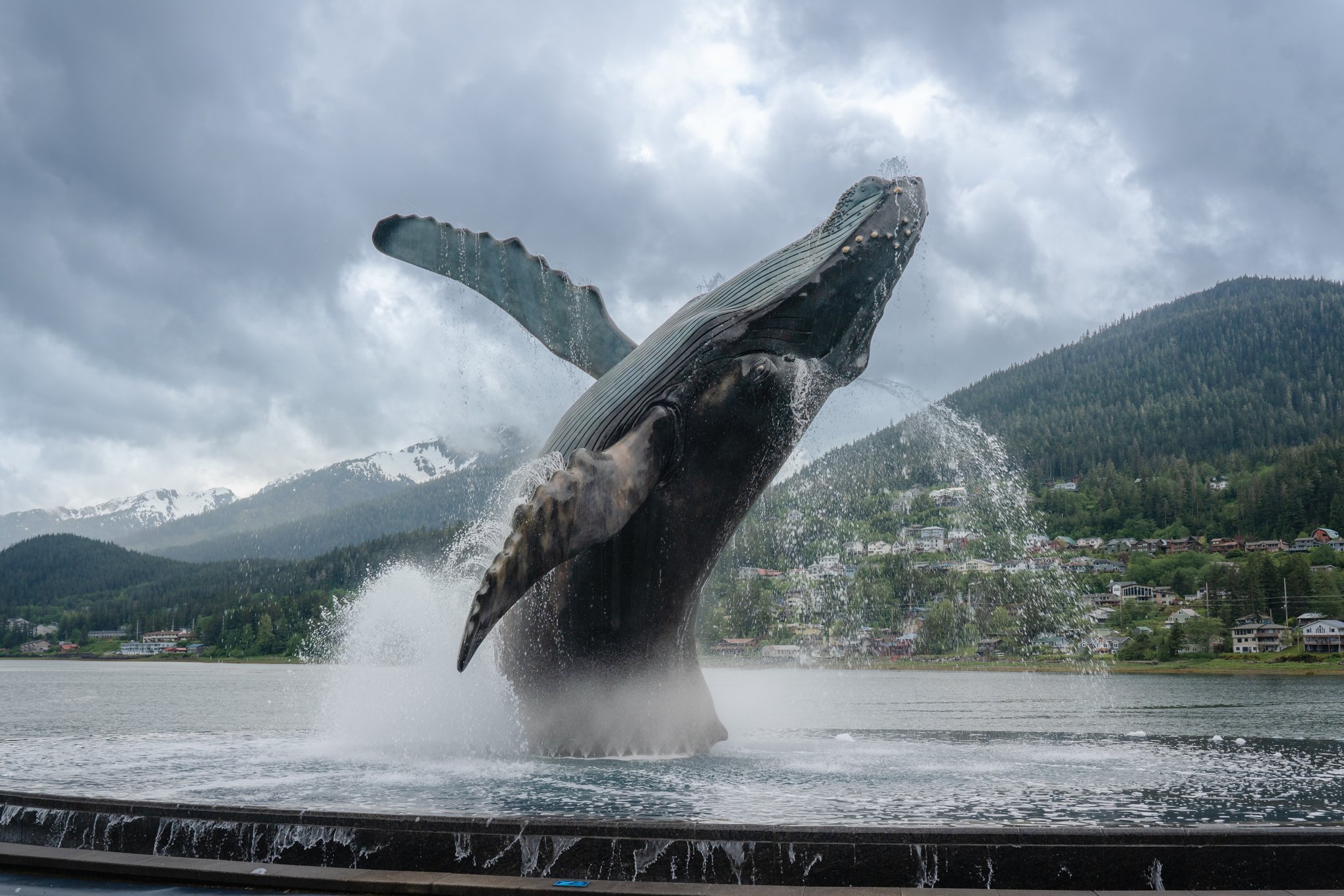roamfreerebecca-the-whale-project-sculpture-juneau-alaska-united-states-north-america-07250