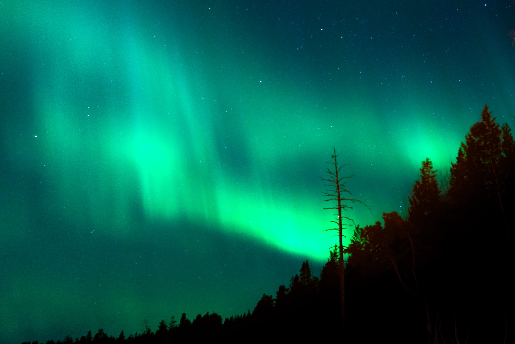 roamfreerebecca-winter-aurora-northern-lights-ivalo-finland-europe-01952