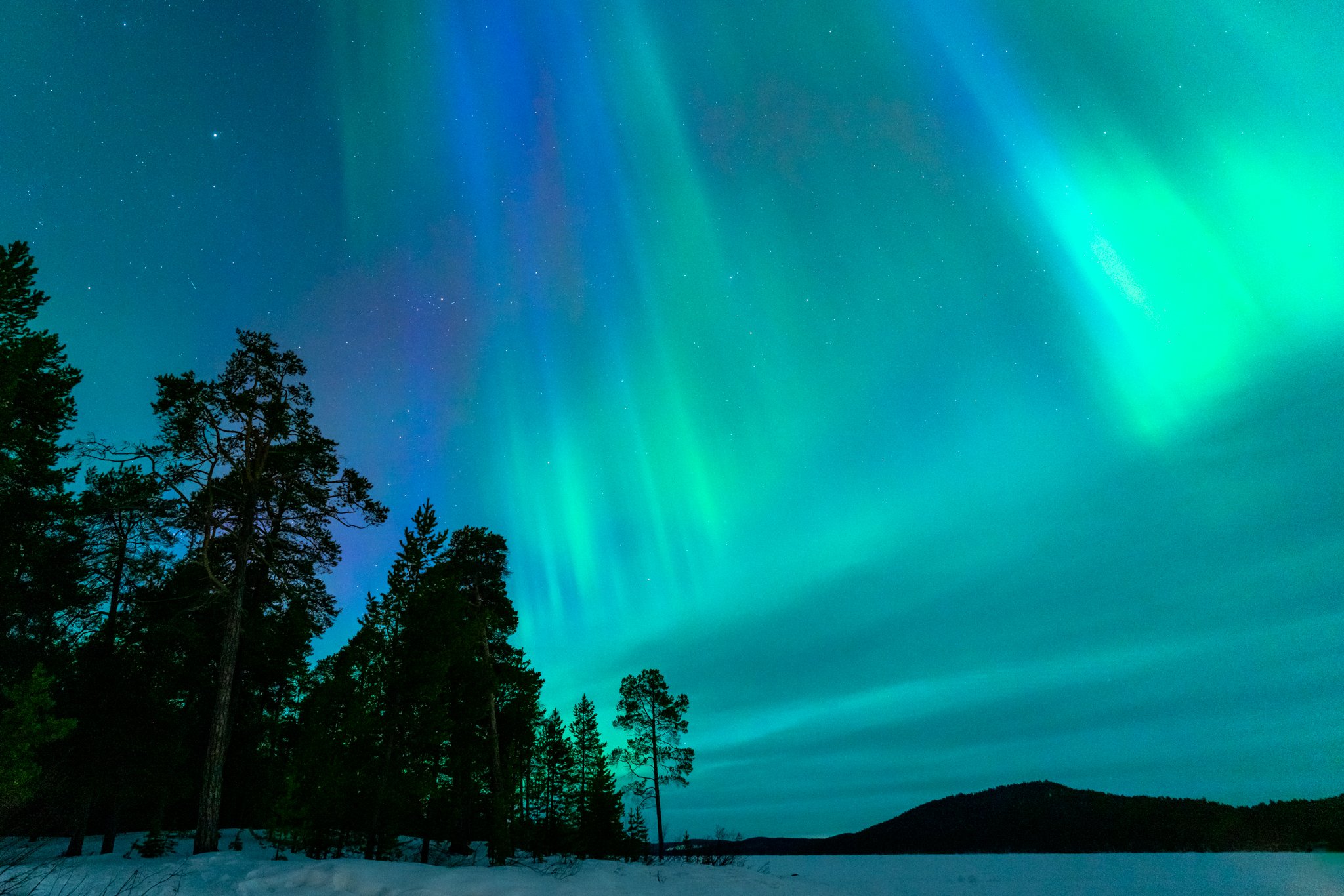 roamfreerebecca-winter-aurora-northern-lights-ivalo-finland-europe-02592