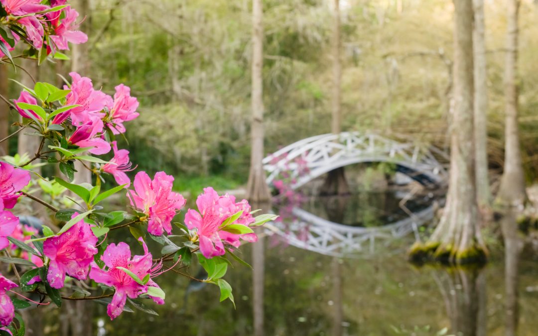 15 Best Spring Break Locations: Stunning Destinations in the USA & Around the World