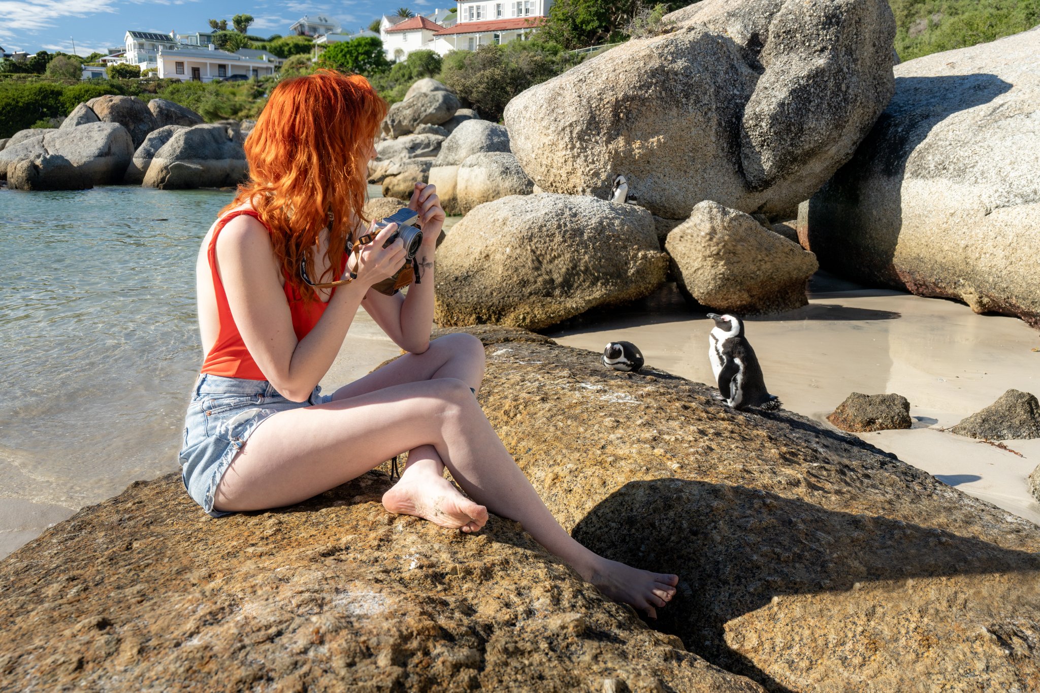 roamfreerebecca-penguins-boulders-beach-cape-town-south-africa-africa-00947