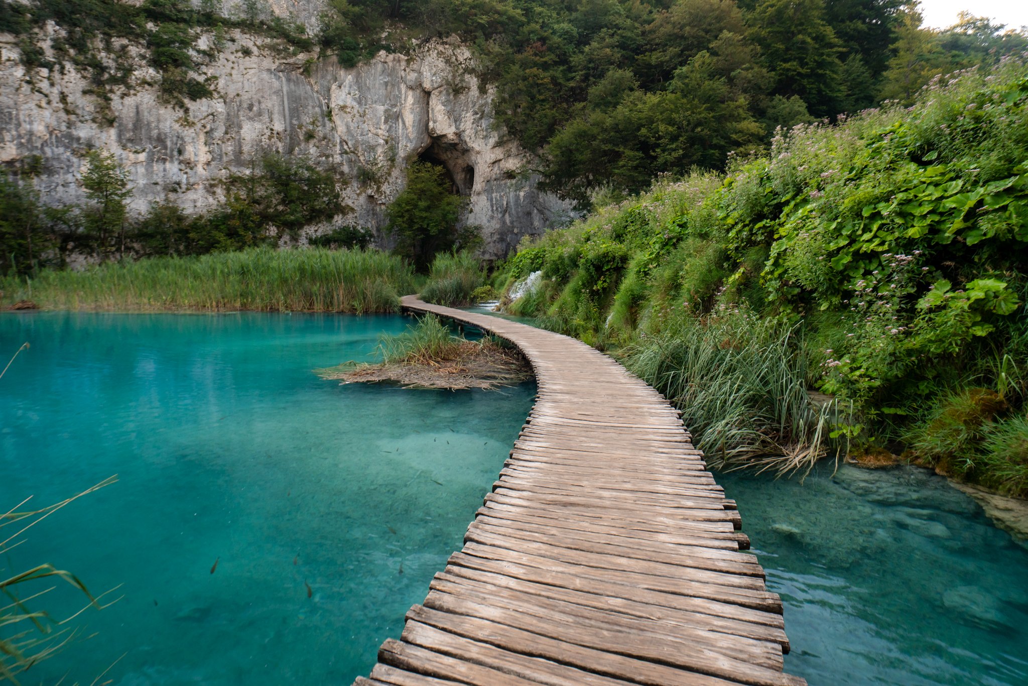 roamfreerebecca-boardwalk-Lower-Lakes-Plitvice-Lakes-National-Park-croatia-europe-world-trip-01685